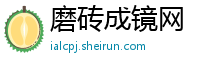 磨砖成镜网